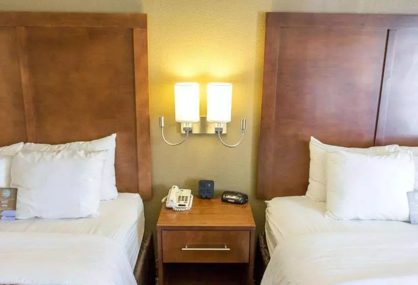 スタンダードルーム, Comfort Inn Hammond