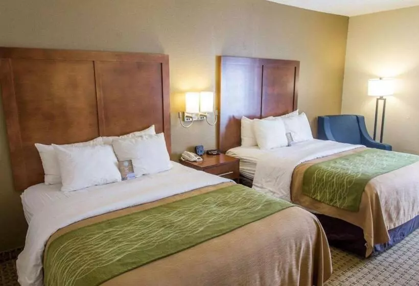 スタンダードルーム, Comfort Inn Hammond