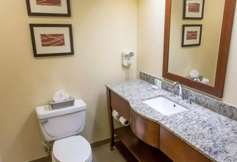 スタンダードルーム, Comfort Inn Hammond