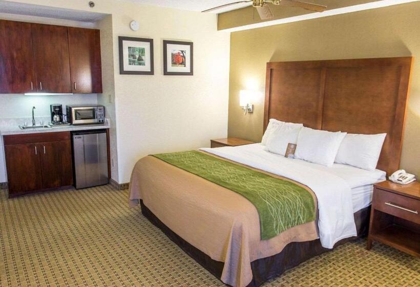 جناح جونيور, Comfort Inn Hammond