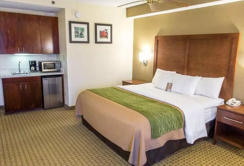 ジュニアスイート, Comfort Inn Hammond