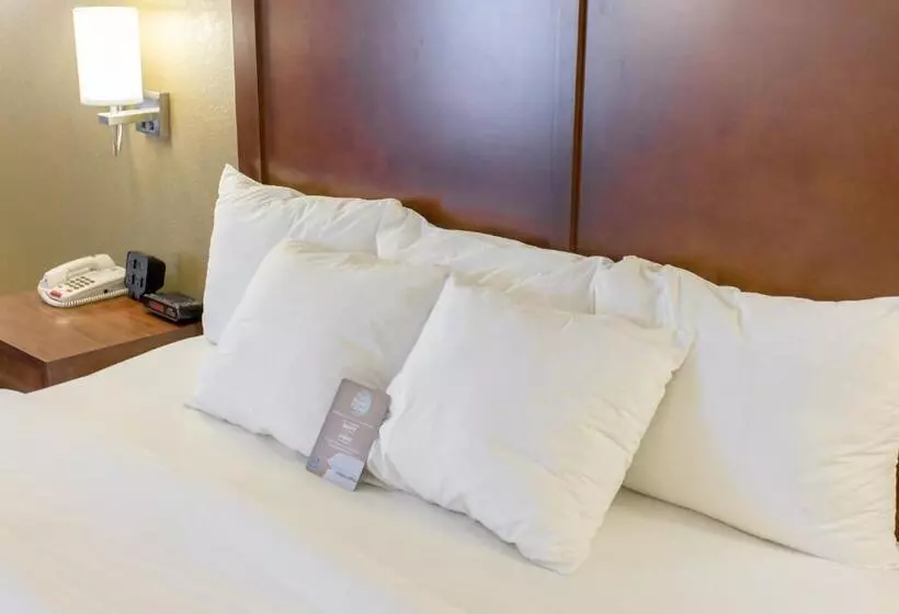 キングサイズベッドのスイートルーム, Comfort Inn Hammond