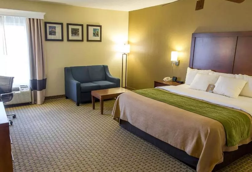 キングサイズベッドのスイートルーム, Comfort Inn Hammond