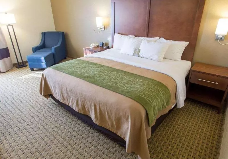 キングサイズベッドのスタンダードルーム, Comfort Inn Hammond