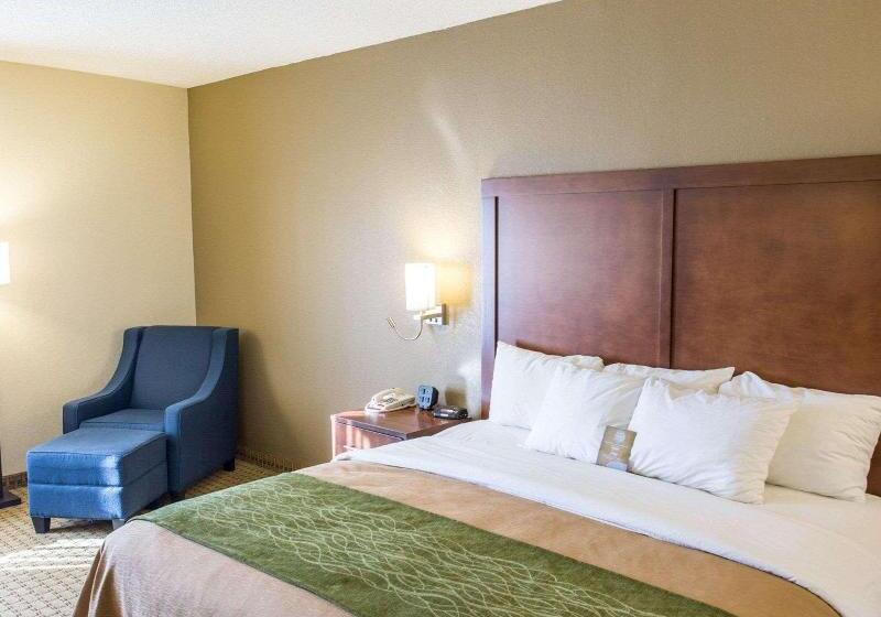 غرفة قياسية سرير كينج, Comfort Inn Hammond