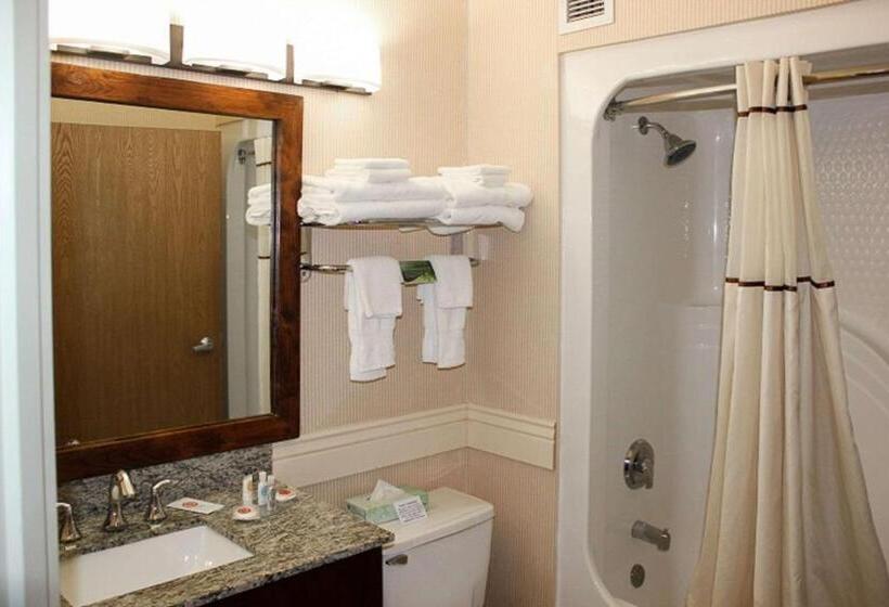 스탠다드 룸 킹사이즈 침대, Comfort Inn Richfield I70