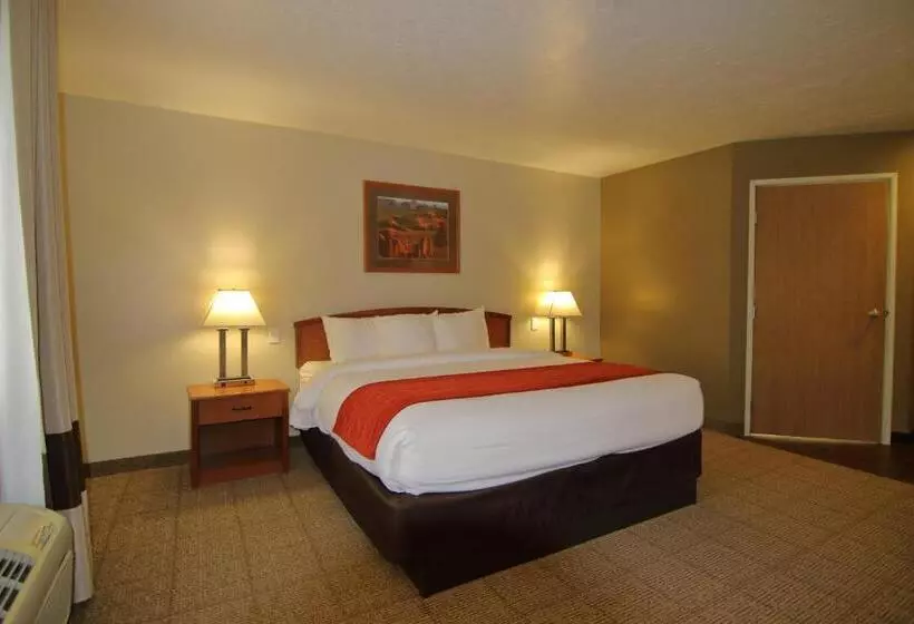身障者適用キングサイズベッドルーム, Comfort Inn Richfield I70