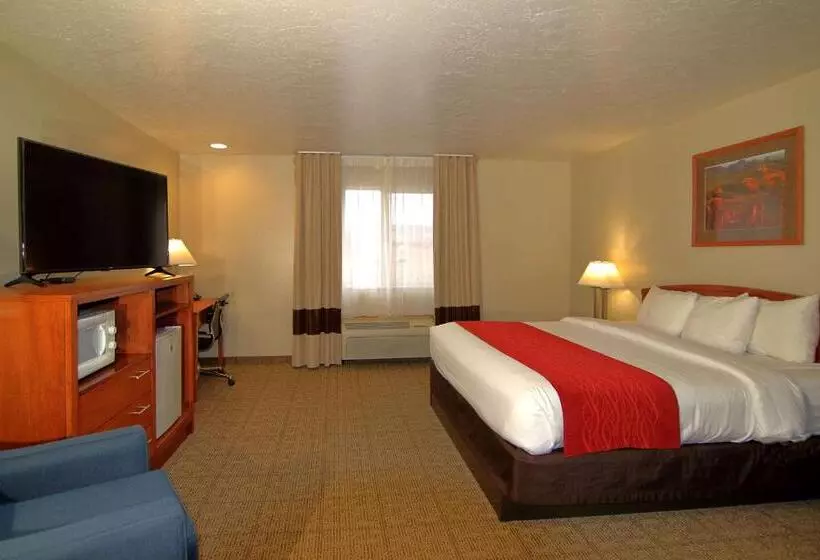 身障者適用キングサイズベッドルーム, Comfort Inn Richfield I70