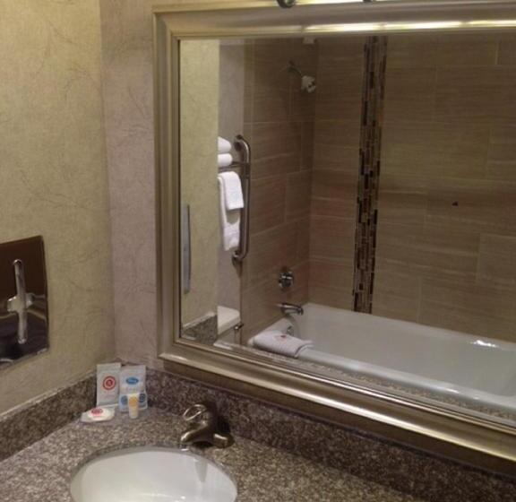 身障者適用キングサイズベッドルーム, Comfort Inn & Suites Midtown
