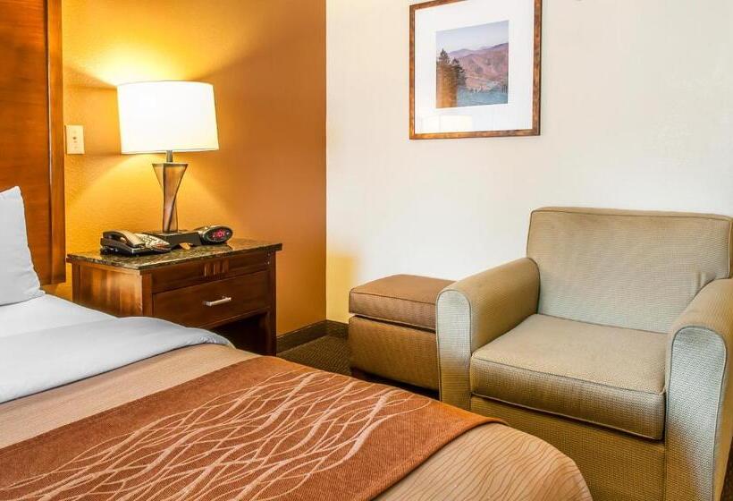 身障者適用キングサイズベッドルーム, Comfort Inn & Suites Midtown