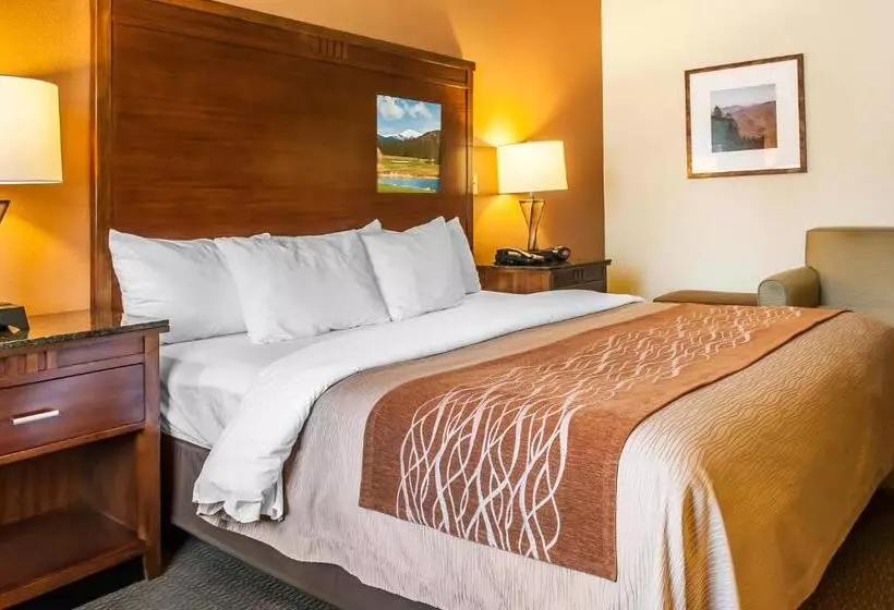 اتاق استاندارد با تخت بزرگ برای معلولان, Comfort Inn & Suites Midtown