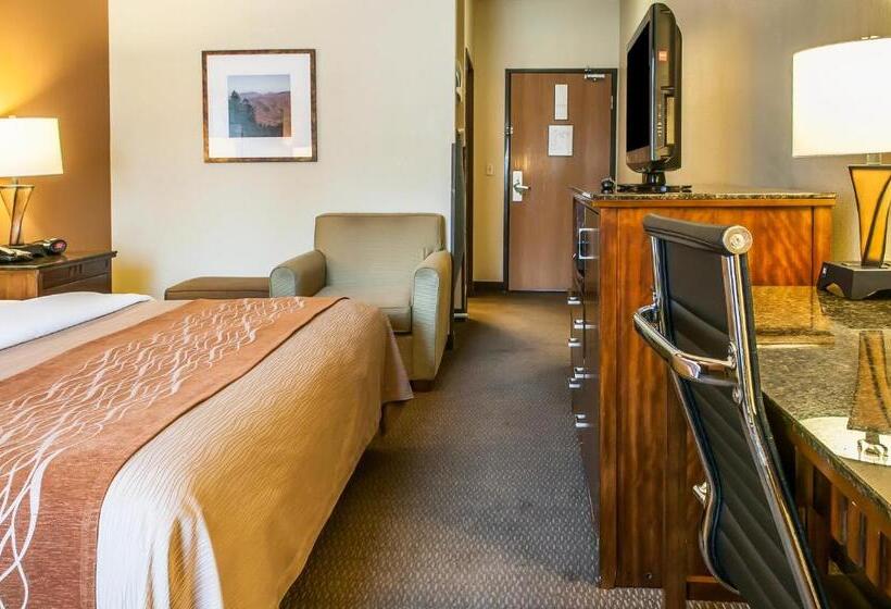 身障者適用キングサイズベッドルーム, Comfort Inn & Suites Midtown