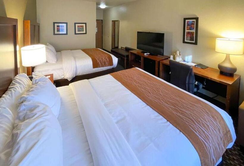 スタンダードルーム, Comfort Inn & Suites Midtown