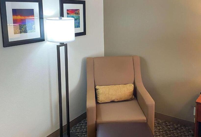 キングサイズベッドのスタンダードルーム, Comfort Inn & Suites Midtown