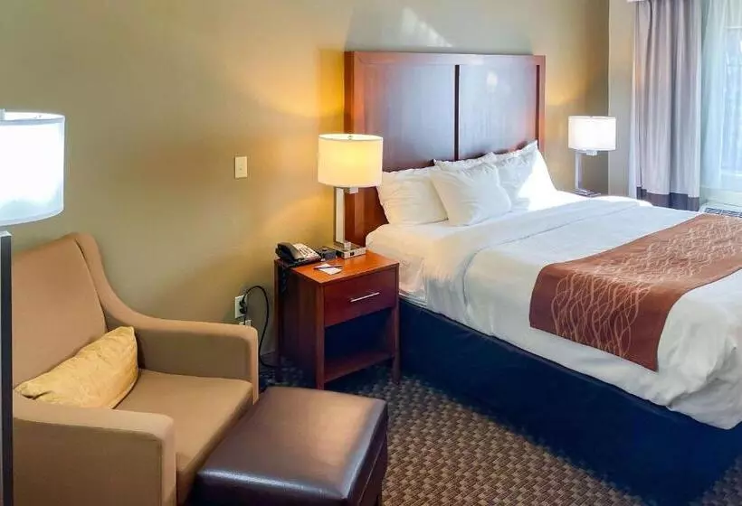 اتاق استاندارد با تخت بزرگ, Comfort Inn & Suites Midtown