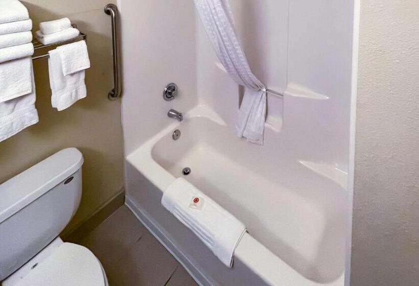 ファミリールーム, Comfort Inn & Suites Midtown