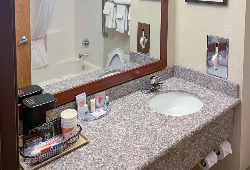 ファミリールーム, Comfort Inn & Suites Midtown