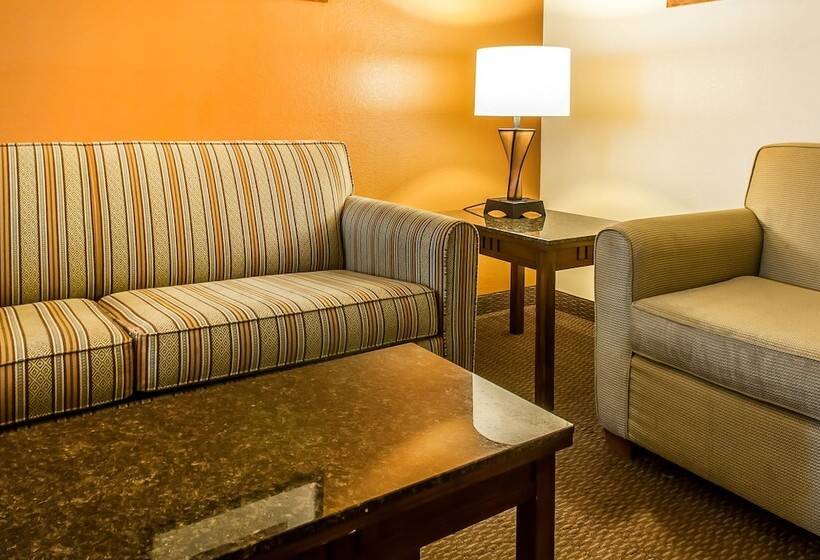スイート, Comfort Inn & Suites Midtown