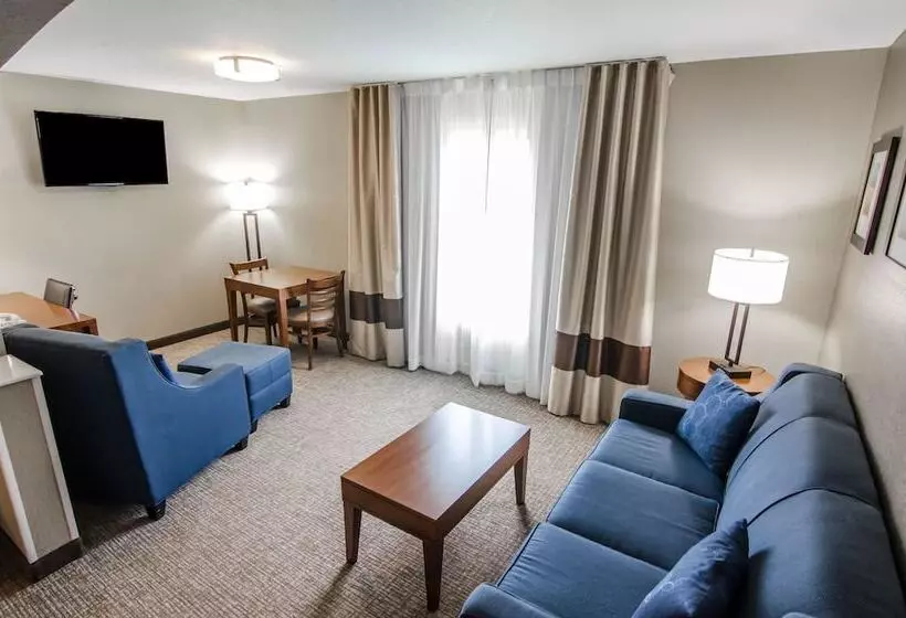 スイート, Comfort Inn & Suites