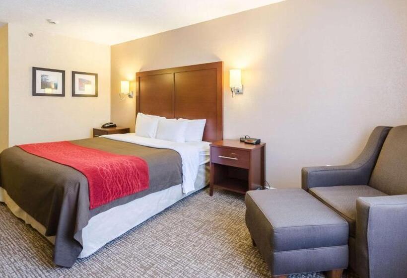 Стандартный Номер Кровать Кинг, Comfort Inn  Wytheville Fort Chiswell