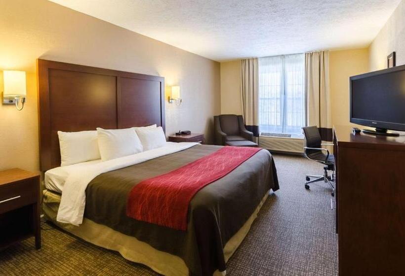 Номер Стандарт Кровать Кинг Адаптированный для Инвалидов, Comfort Inn  Wytheville Fort Chiswell