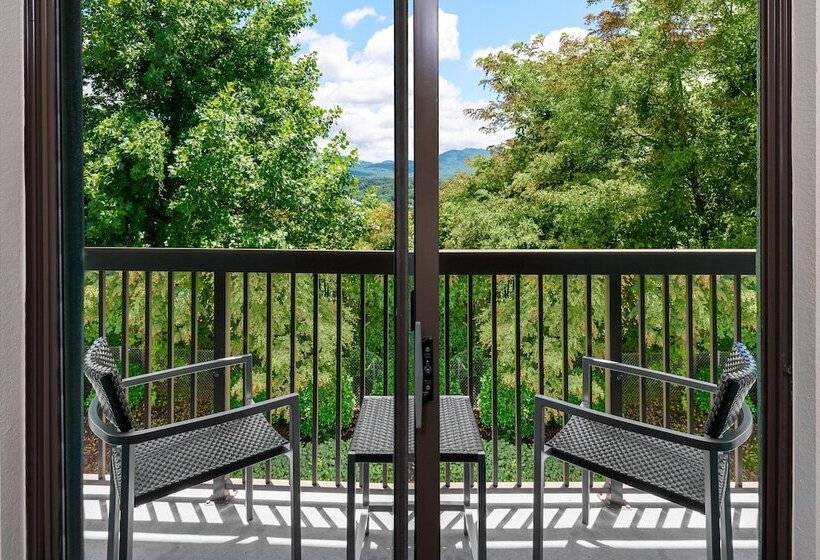 غرفه قياسيه سريرين مزدوجين, Courtyard Asheville