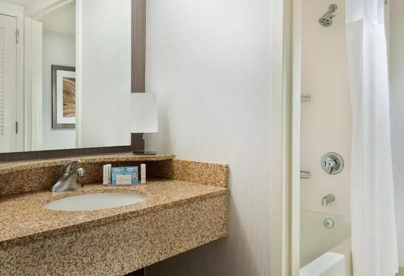 اتاق استاندارد با تخت بزرگ, Courtyard Asheville