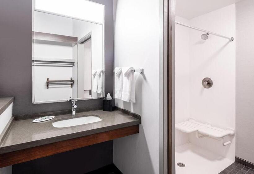장애인을 위한 킹사이즈 침대 스탠다드 룸, Courtyard By Marriott Denver Golden/red Rocks