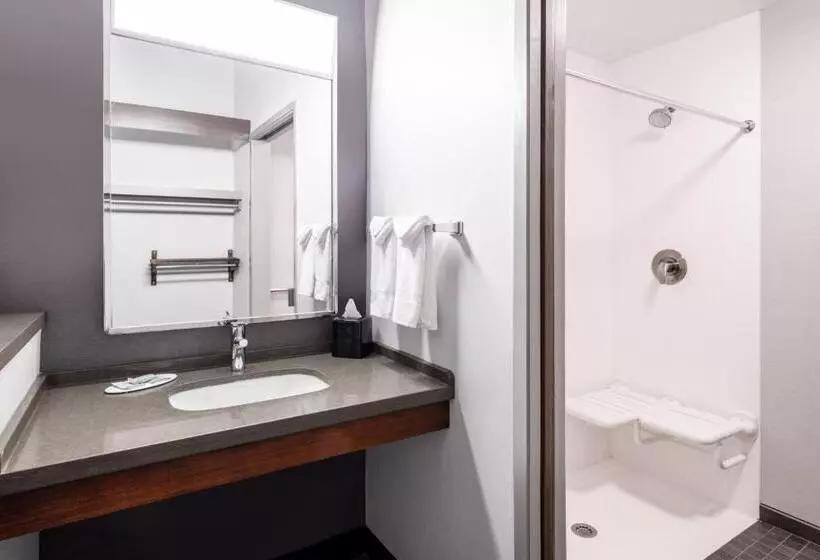 身障者適用スタンダードルーム, Courtyard By Marriott Denver Golden/red Rocks