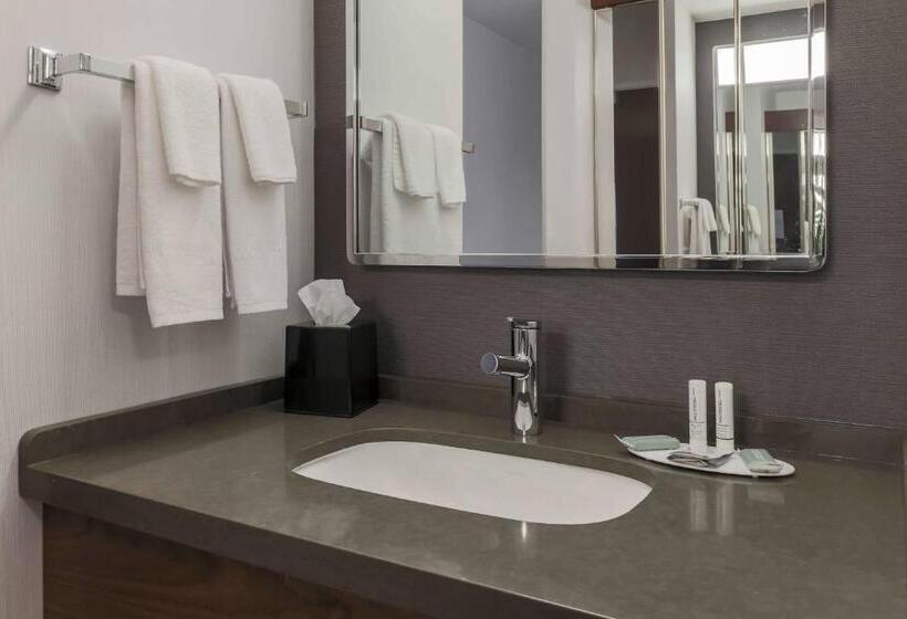 适合残疾人使用的标准间, Courtyard By Marriott Denver Golden/red Rocks