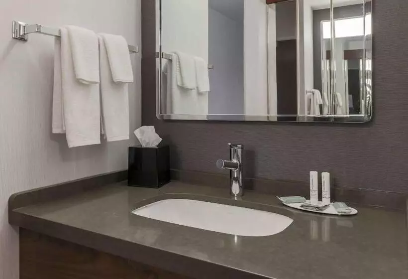 身障者適用スタンダードルーム, Courtyard By Marriott Denver Golden/red Rocks
