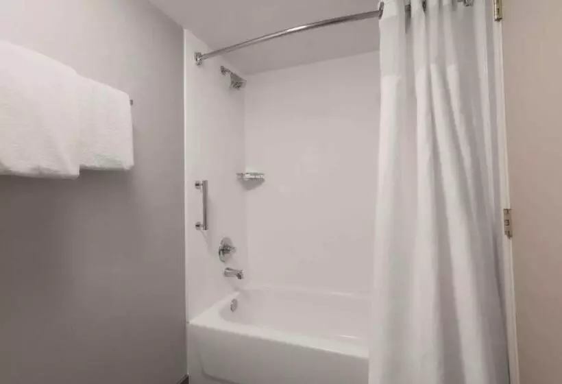 身障者適用スタンダードルーム, Courtyard By Marriott Denver Golden/red Rocks