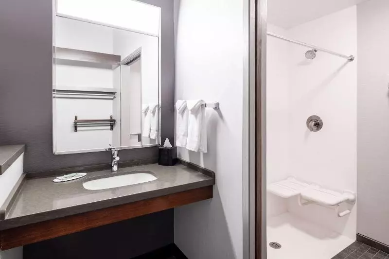 キングサイズベッドのスタンダードルーム, Courtyard By Marriott Denver Golden/red Rocks