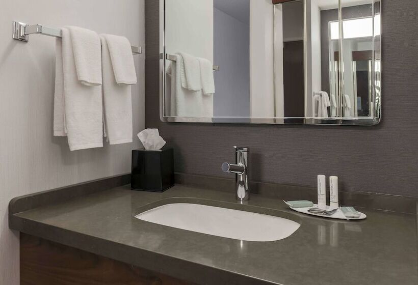 带2个双人床的标准工作室, Courtyard By Marriott Denver Golden/red Rocks