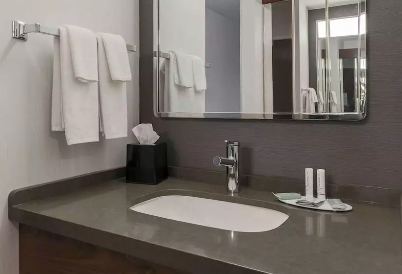 ２ダブルベッドのスタンダードルーム, Courtyard By Marriott Denver Golden/red Rocks