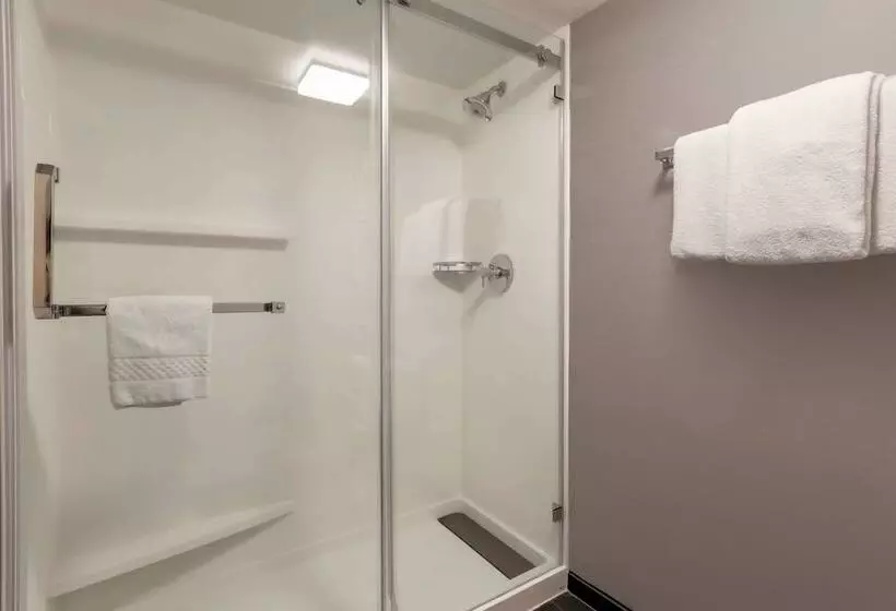 ２ダブルベッドのスタンダードルーム, Courtyard By Marriott Denver Golden/red Rocks