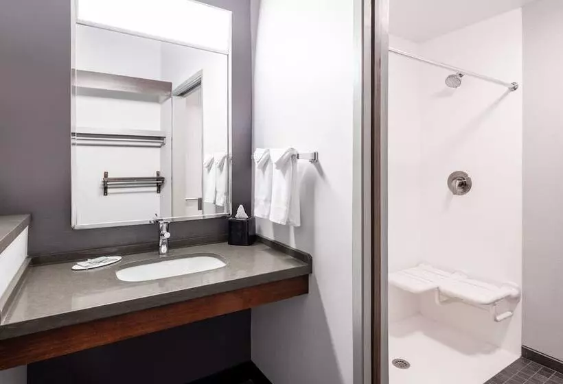 ２ダブルベッドのスタンダードルーム, Courtyard By Marriott Denver Golden/red Rocks
