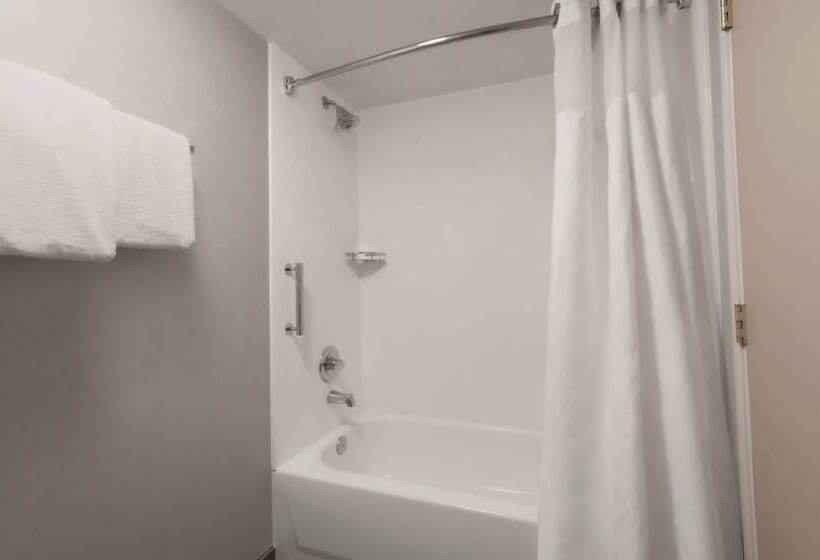 带2个双人床的标准工作室, Courtyard By Marriott Denver Golden/red Rocks