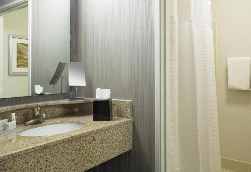 스탠다드 룸, Courtyard Chicago St. Charles