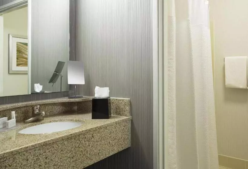 キングサイズベッドのスタンダードルーム, Courtyard Chicago St. Charles