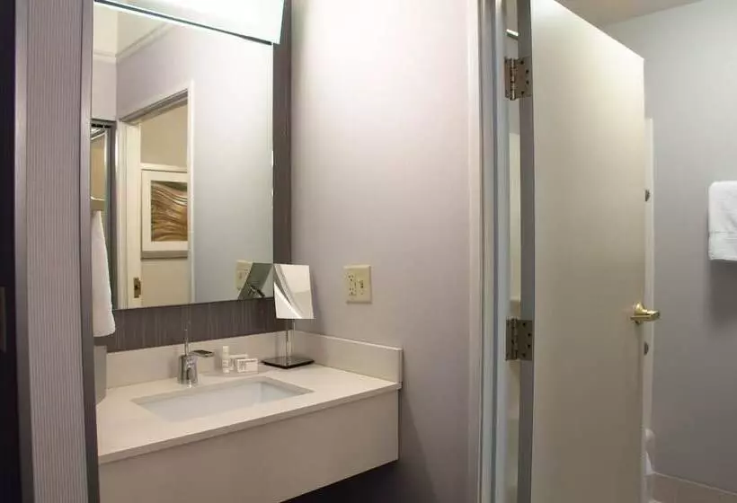 اتاق استاندارد با 2 تخت دوبل, Courtyard By Marriott Colorado Springs South
