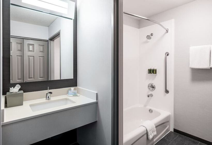 带2个双人床的标准工作室, Courtyard By Marriott Colorado Springs South