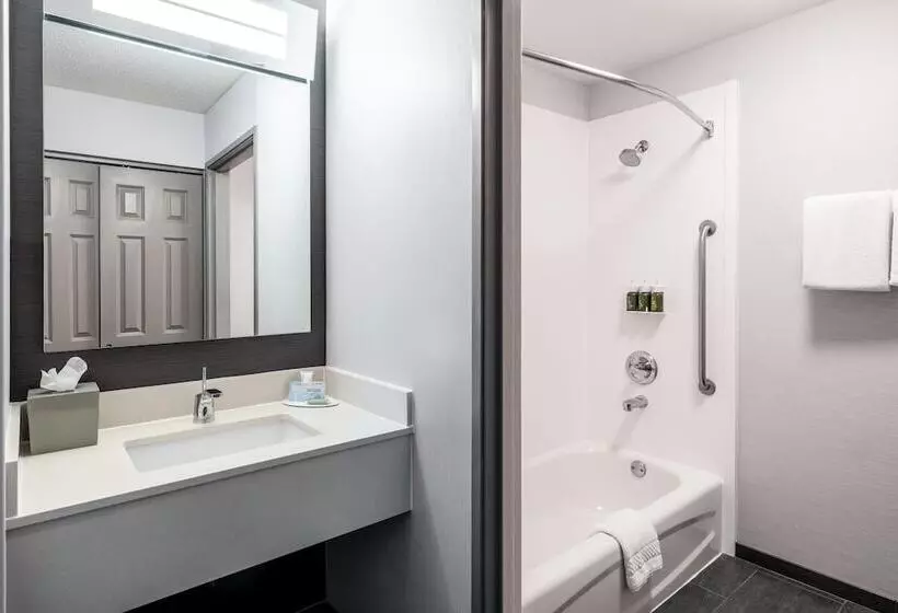اتاق استاندارد با 2 تخت دوبل, Courtyard By Marriott Colorado Springs South