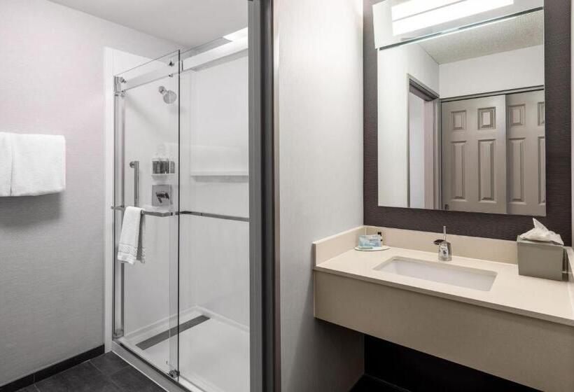 带大床的标准间, Courtyard By Marriott Colorado Springs South