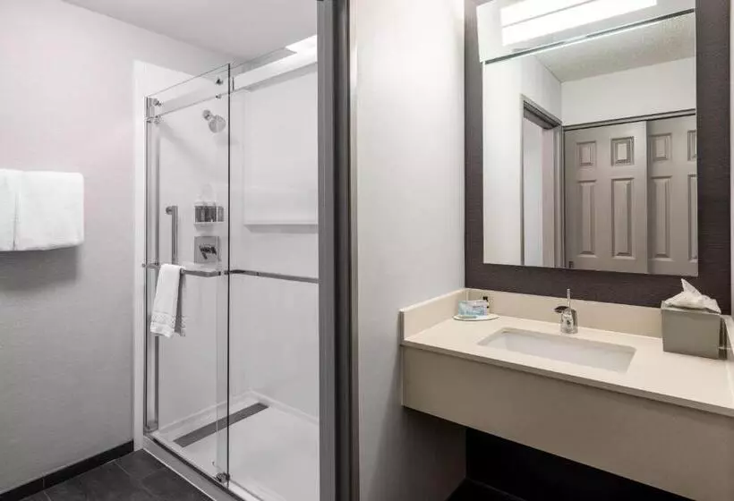 اتاق استاندارد با تخت بزرگ, Courtyard By Marriott Colorado Springs South