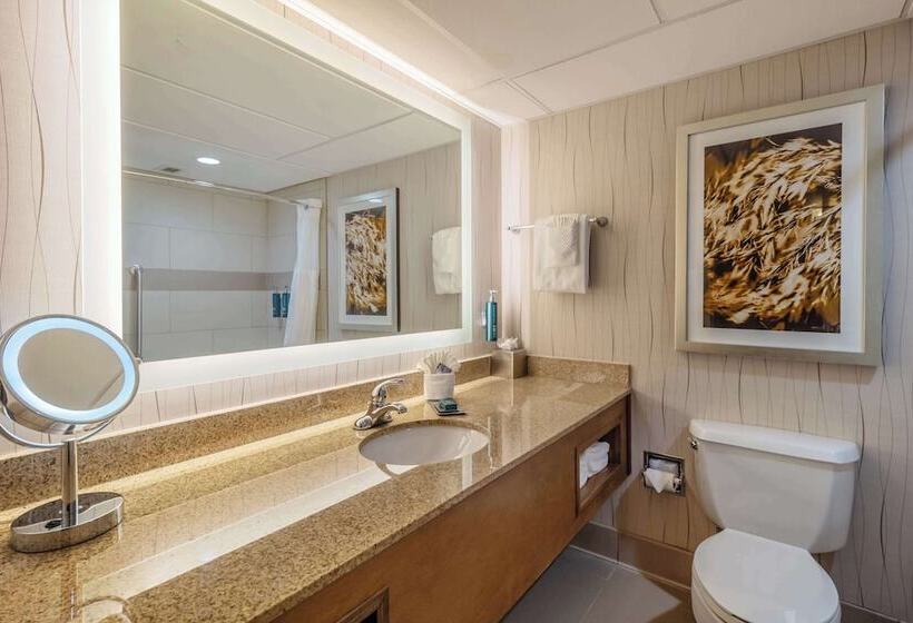 חדר דלוקס מותאם לאנשים עם מוגבלויות, Doubletree By Hilton Hotel Lawrence