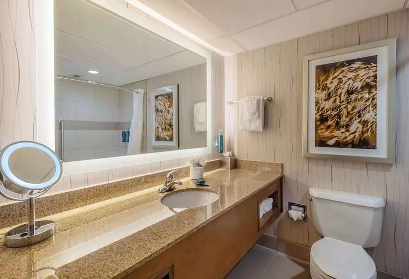 障害者適応デラックスルーム, Doubletree By Hilton Hotel Lawrence
