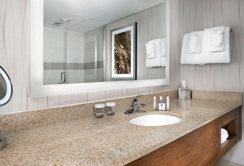 Номер Deluxe Адаптированный для Инвалидов, Doubletree By Hilton Hotel Lawrence