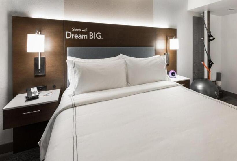 חדר סטנדרט עם מיטת קינג, Even Hotel Chicago   Tinley Park   Convention Center, An Ihg