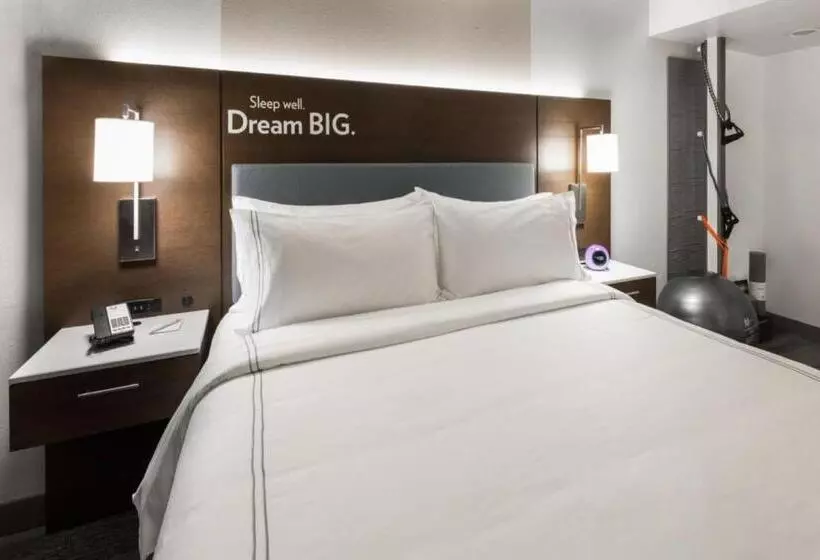 キングサイズベッドのスタンダードルーム, Even Hotel Chicago Tinley Park Convention Center, An Ihg